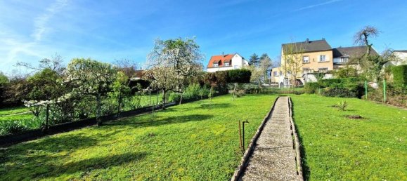 3 bedrooms House in Sarreguemines, France No. 70138 3