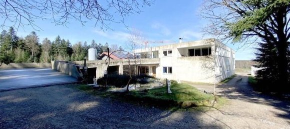 Коммерческая недвижимость 880м² в Кальв, Германия № 290207 21