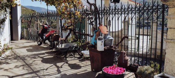 6 bedrooms House in Peso da Regua, Portugal No. 115822 13