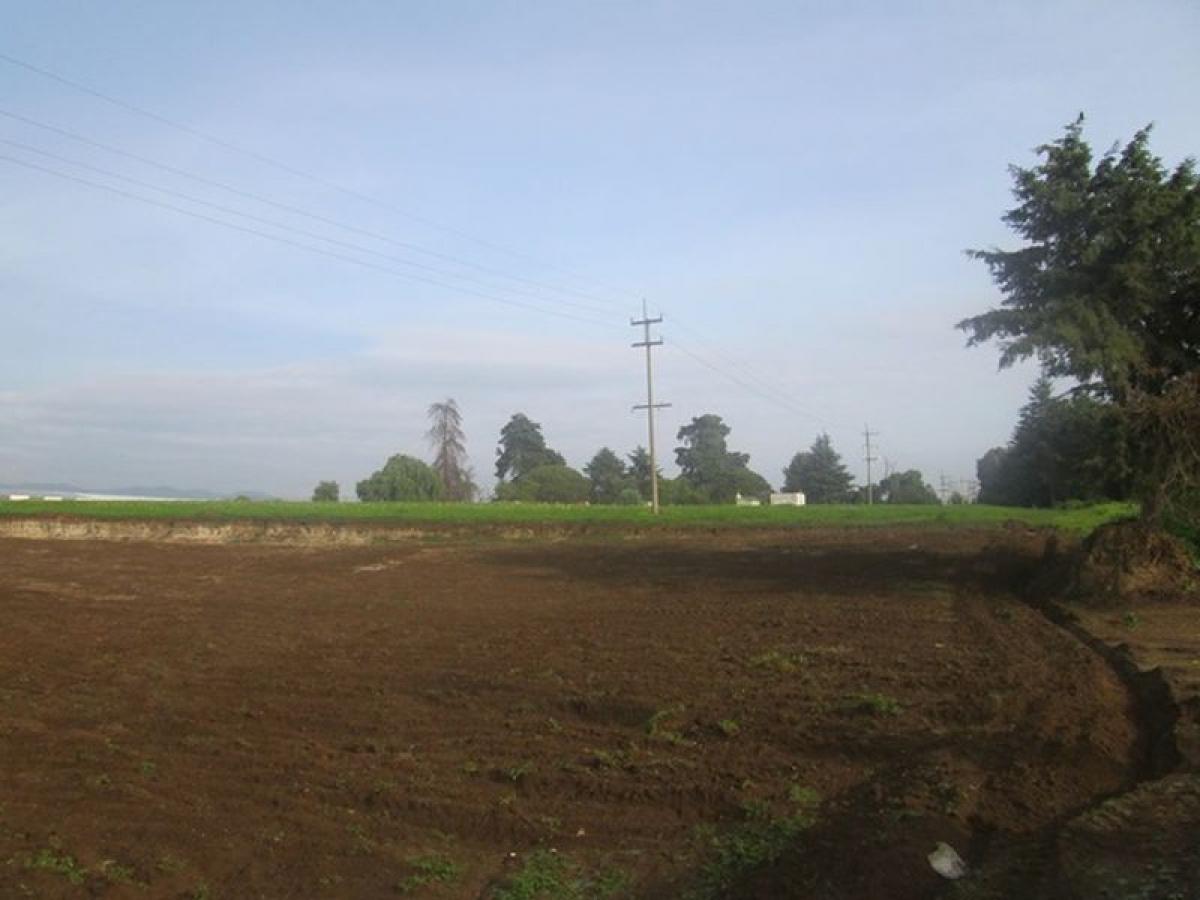 Terrain à Rayon, Mexico No. 204139