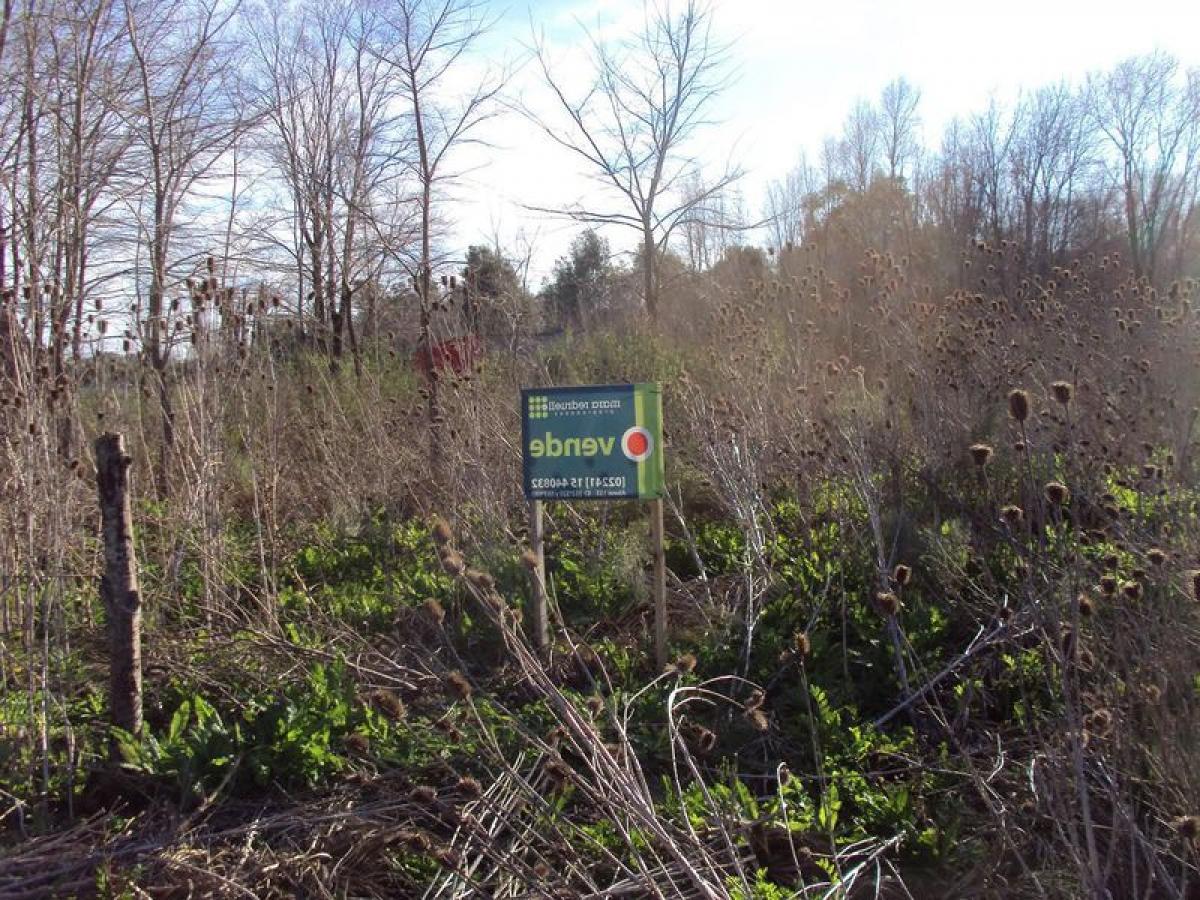  Land in Chascomus, Argentina No. 37704