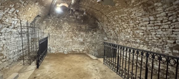 10 bedrooms Castles in Vornay, France No. 226648 22