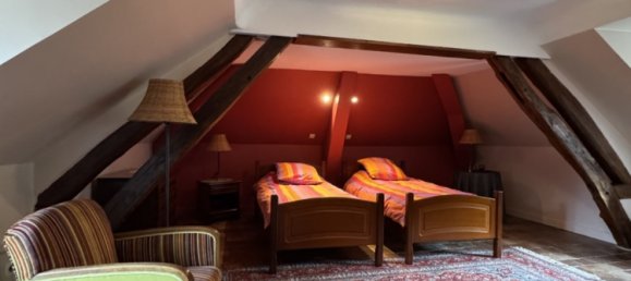 10 bedrooms Castles in Vornay, France No. 226648 13