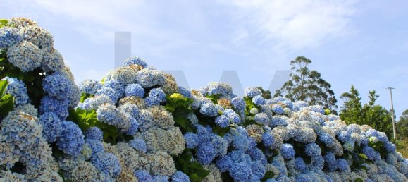 Grundstück in Santa Cruz, Portugal 320m², Nr. 216951 47