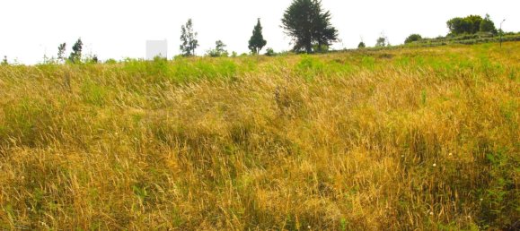 Grundstück in Santa Cruz, Portugal 320m², Nr. 216951 44