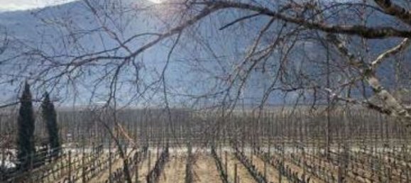 20 rooms Villa in Trentino-Alto Adige, Italy No. 269699 14