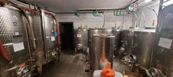 20 rooms Villa in Trentino-Alto Adige, Italy No. 269699 35