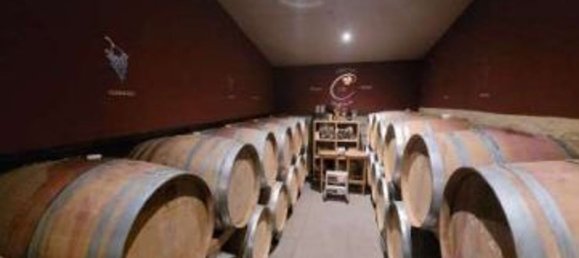 20 rooms Villa in Trentino-Alto Adige, Italy No. 269699 33