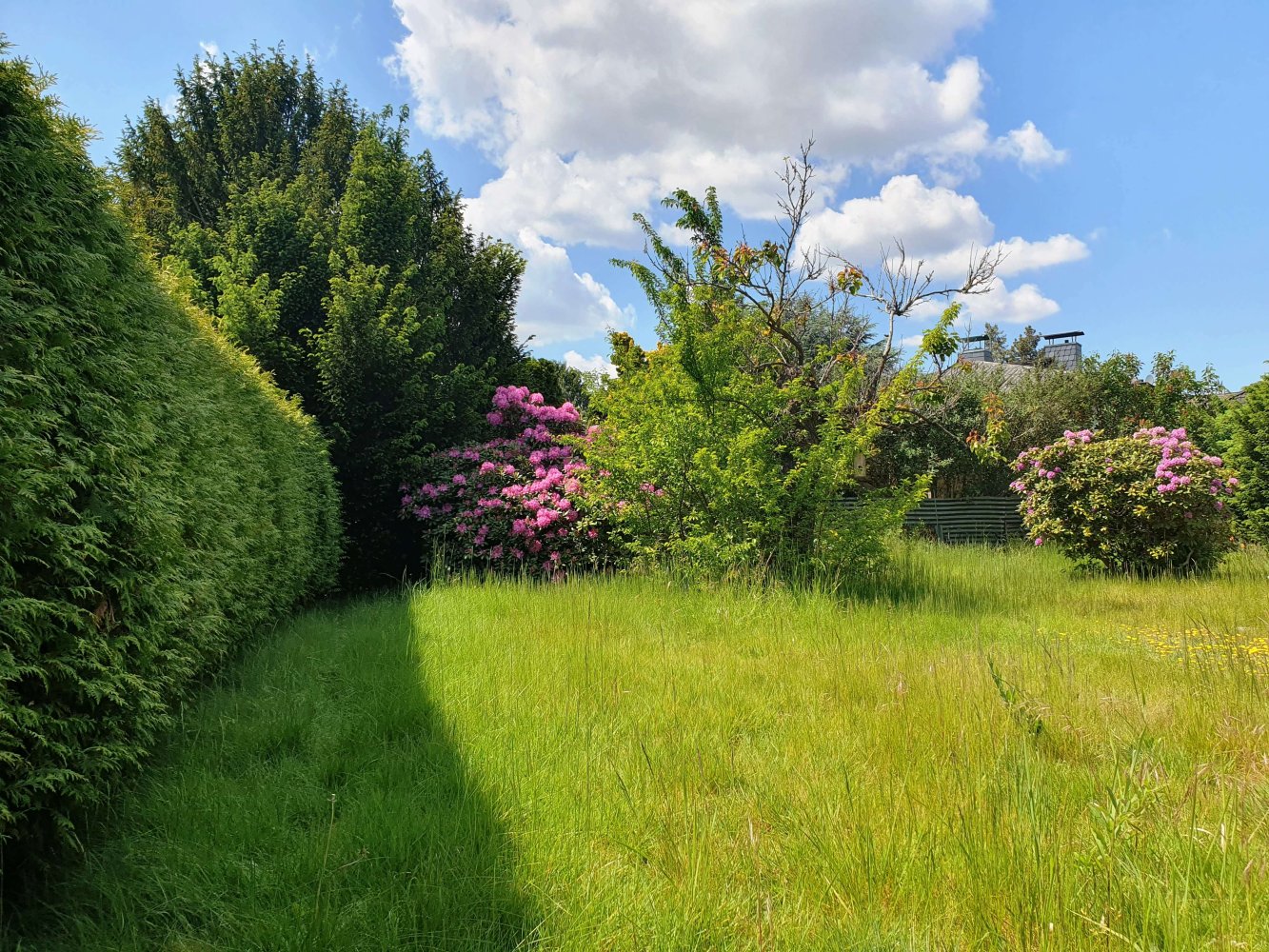  Land in Lichtenrade, Germany No. 341092