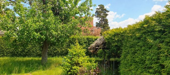  Land in Lichtenrade, Germany No. 341092 3