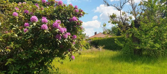  Land in Lichtenrade, Germany No. 341092 2