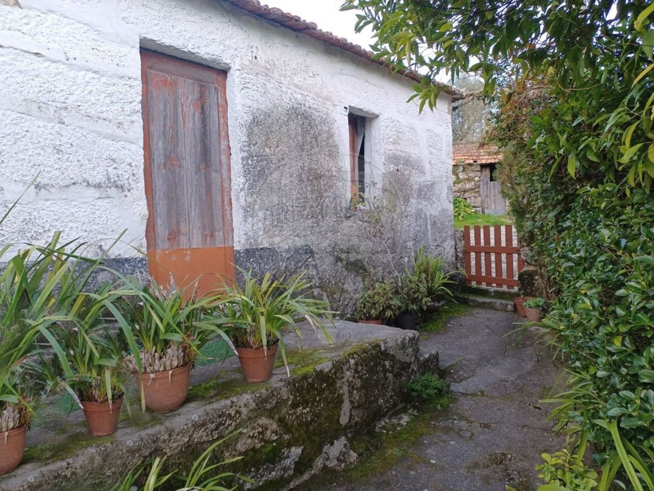 1 Schlafzimmer Haus in Marco de Canaveses, Portugal, Nr. 23866