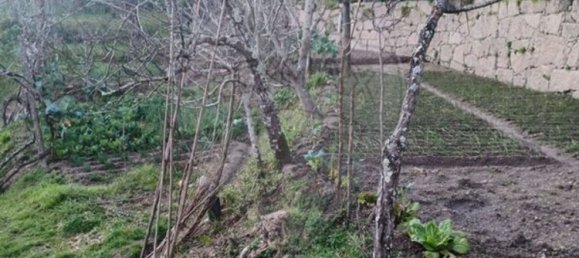 1 Schlafzimmer Haus in Marco de Canaveses, Portugal, Nr. 23866 7