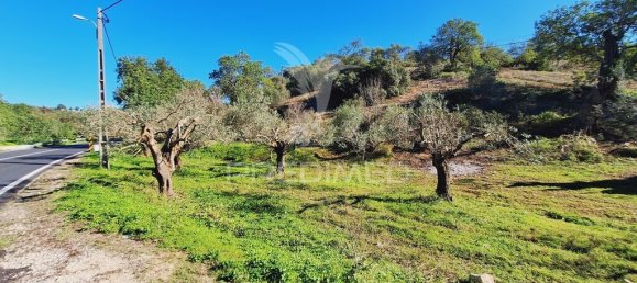 Terreno en Loule, Portugal 6000 m² No. 69528 15