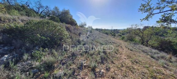 Terreno en Loule, Portugal 6000 m² No. 69528 10