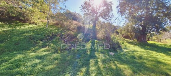 Terreno en Loule, Portugal 6000 m² No. 69528 17