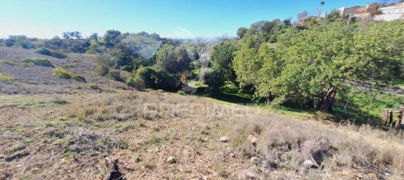 Terreno en Loule, Portugal 6000 m² No. 69528 12