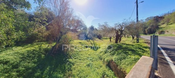 Terreno en Loule, Portugal 6000 m² No. 69528 16