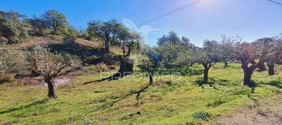 Terreno en Loule, Portugal 6000 m² No. 69528 14