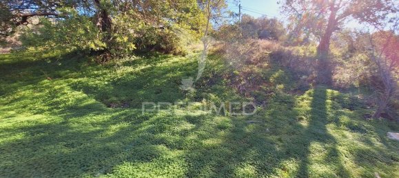 Terreno en Loule, Portugal 6000 m² No. 69528 19