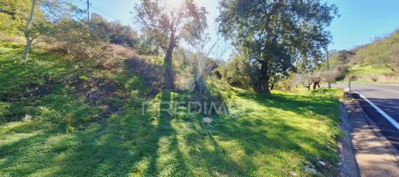 Terreno en Loule, Portugal 6000 m² No. 69528 18