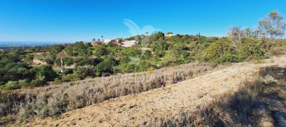 Terreno en Loule, Portugal 6000 m² No. 69528 4