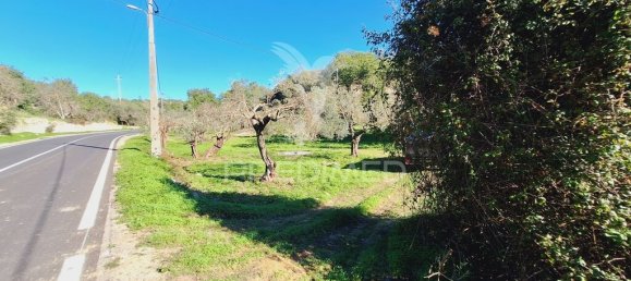 Terreno en Loule, Portugal 6000 m² No. 69528 13