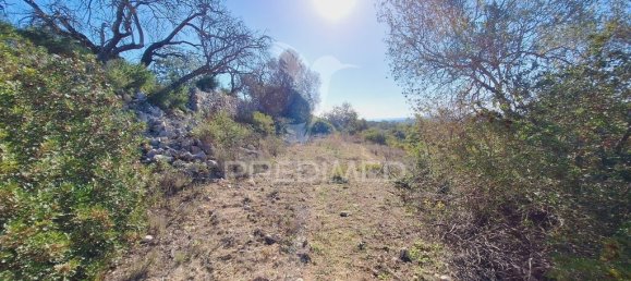 Terreno en Loule, Portugal 6000 m² No. 69528 7