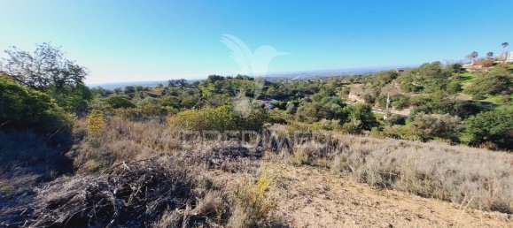 Terreno en Loule, Portugal 6000 m² No. 69528 6