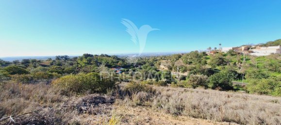 Terreno en Loule, Portugal 6000 m² No. 69528 3