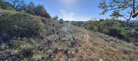 Terreno en Loule, Portugal 6000 m² No. 69528 11