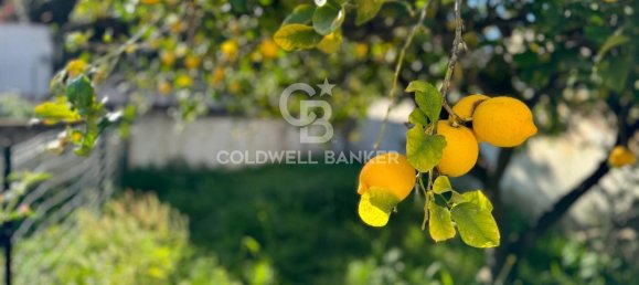 5 rooms Apartment in Ragusa, Italy No. 155638 27