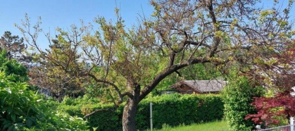 376m² Land in Hernals, Austria No. 132380 3