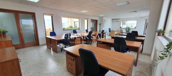  مكتب في Naxxar, Malta 220متر مربع رقم 12344 11
