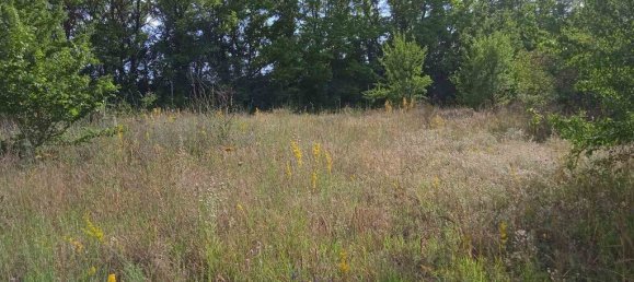 3 Schlafzimmer Gewerbliche Immobilie in Lagkadas, Greece, Nr. 3903 28