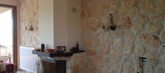 3 Schlafzimmer Gewerbliche Immobilie in Lagkadas, Greece, Nr. 3903 10