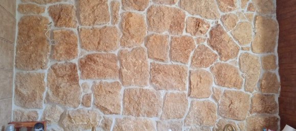 3 Schlafzimmer Gewerbliche Immobilie in Lagkadas, Greece, Nr. 3903 19