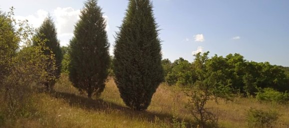 3 dormitorios propiedad comercial en venta en Lagkadas, Thessaloniki, Central Macedonia, Macedonia and Thrace, Greece № 3903 27