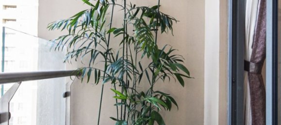 Квартира с 2 спальнями в Район 4, Вьетнам № 17020 8