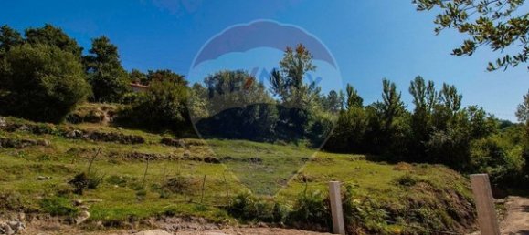  قطعة أرض في Cinfaes, Portugal 2601متر مربع رقم 90090 4