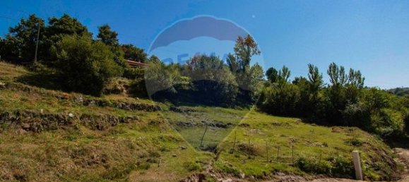 قطعة أرض في Cinfaes, Portugal 2601متر مربع رقم 90090 15