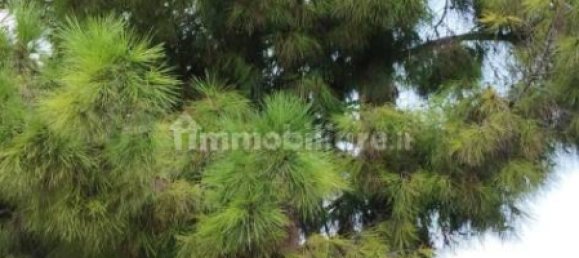 1 chambre Appartement à Sanremo, Italy No. 172912 29