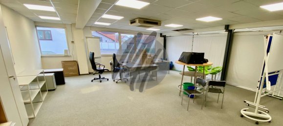 Lagerhaus in Main-Kinzig, Germany 4650m², Nr. 320434 8