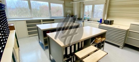 Lagerhaus in Main-Kinzig, Germany 4650m², Nr. 320434 14