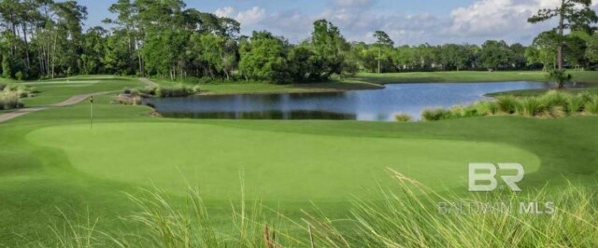 3 bedrooms House in Gulf Shores, USA No. 379655