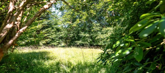 Casa T2 em Wandsbek, Germany N.º 312413 28