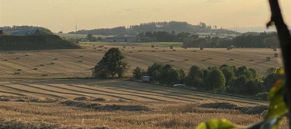 6غرفة منزل في Vogtlandkreis, Germany رقم 46562 20