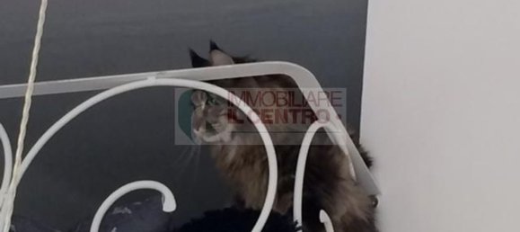 9-Zimmer Haus in Ameglia, Italy, Nr. 72784 21