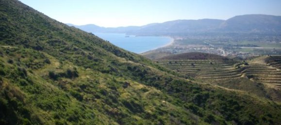 Terra em Zakynthos, Greece N.º 730 6
