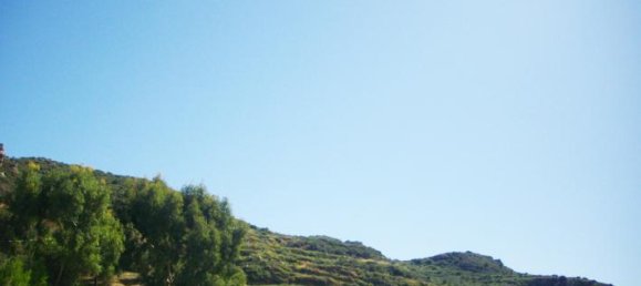 Terra em Zakynthos, Greece N.º 730 9